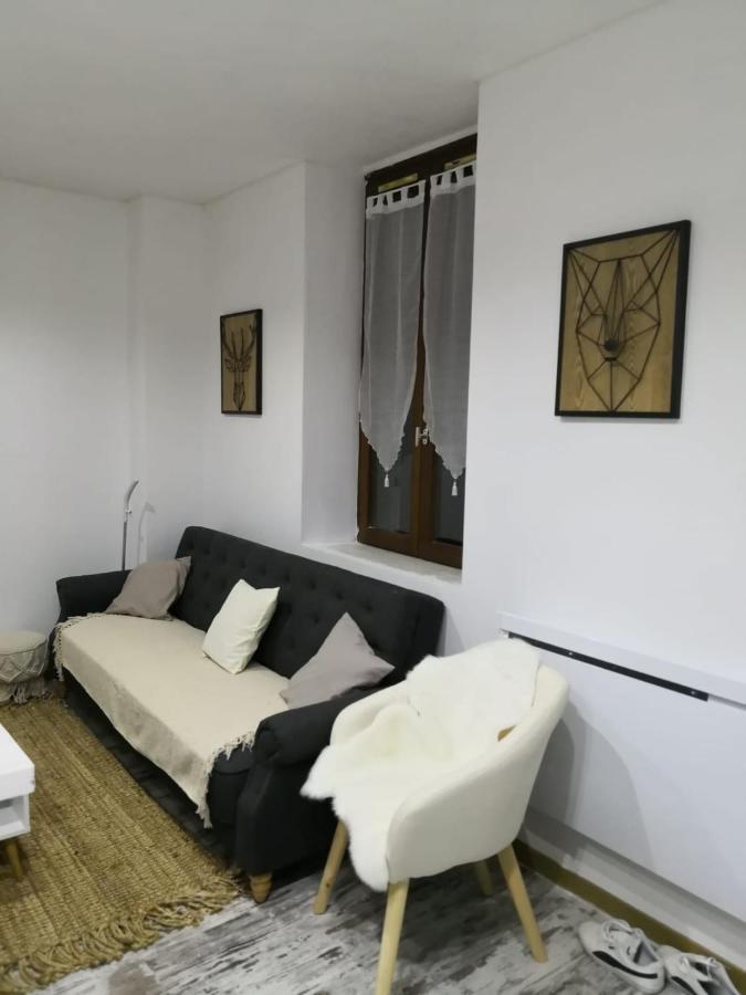Studio zen et cosy, neuf en pleine ville Saint-Claude Esterno foto