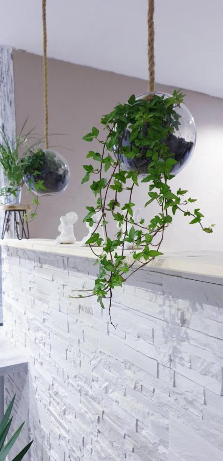 Studio zen et cosy, neuf en pleine ville Saint-Claude Esterno foto